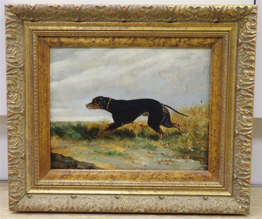Circle of George Armfield, oil on artist board, Hound in a landscape, 21 x 27cm